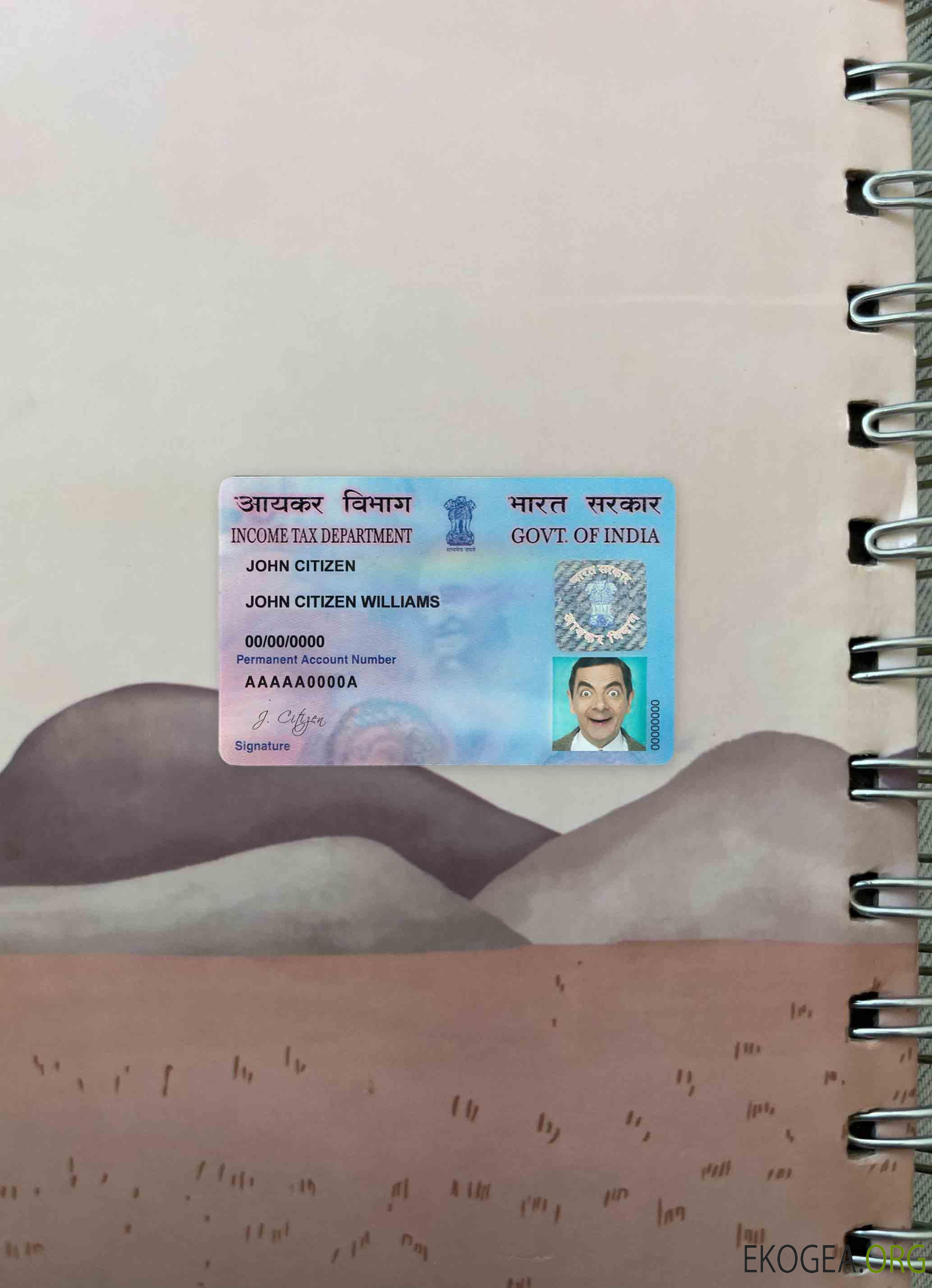 Photolook de la carte e PAN Inde AVANT